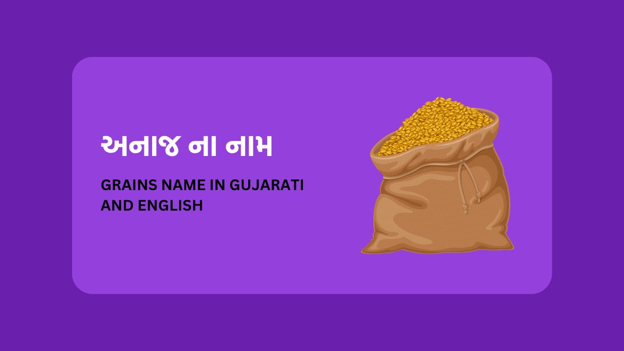 Grains Name in Gujarati