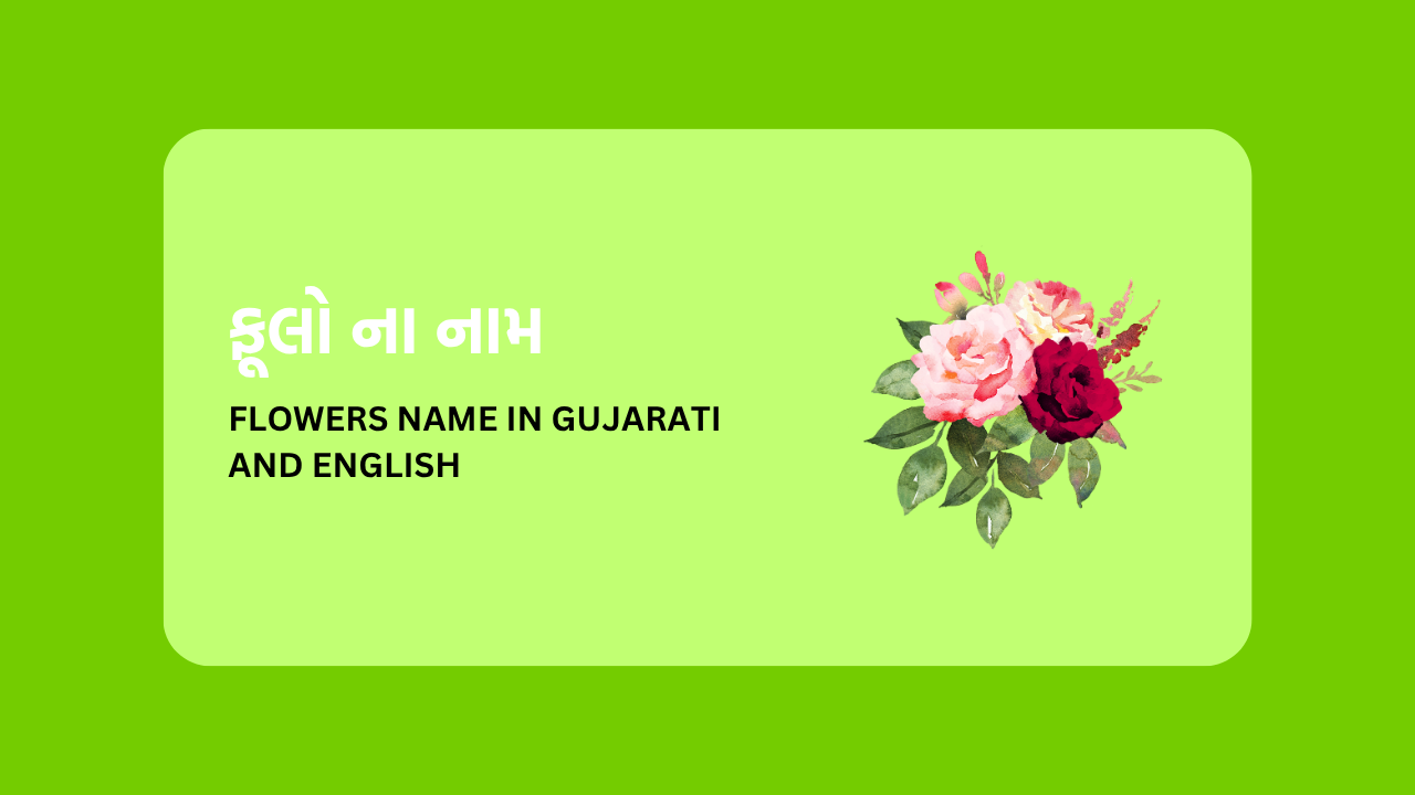 Flowers Name in Gujarati